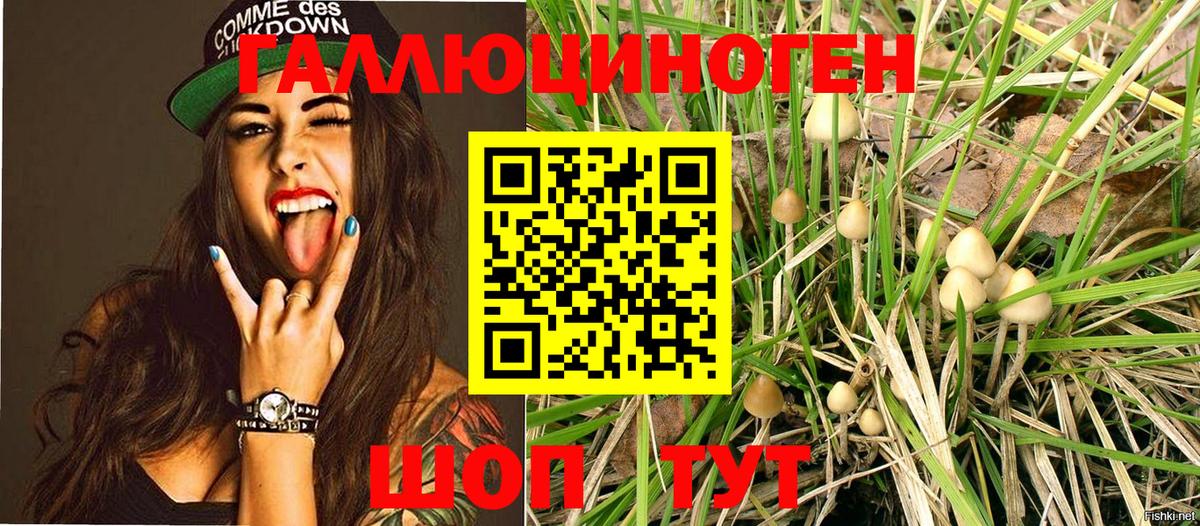 Тайшет  Галлюциногенные грибы прущие грибы  Псилоцибиновые грибы Magic Shrooms  Вход с VPN 