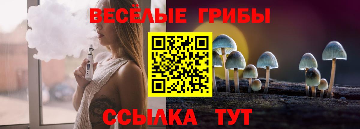 Псилоцибиновые грибы Cubensis Тайшет